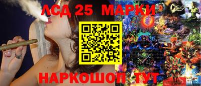 шишки Абакан