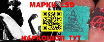 шишки Абакан