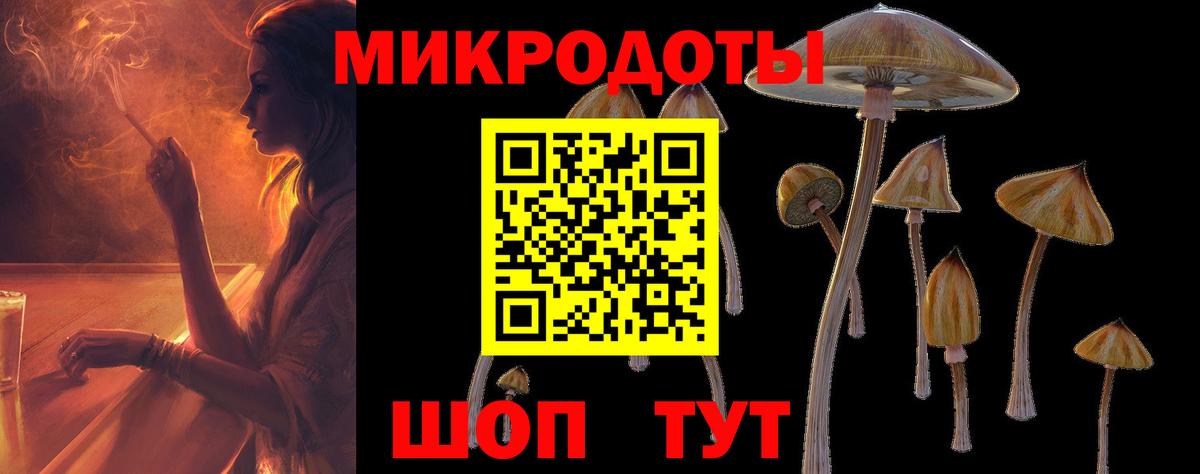 Галлюциногенные грибы MAGIC MUSHROOMS  Вход с VPN  Альметьевск 